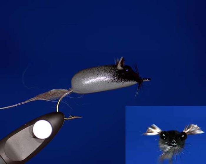 Bass Fly UK 2
