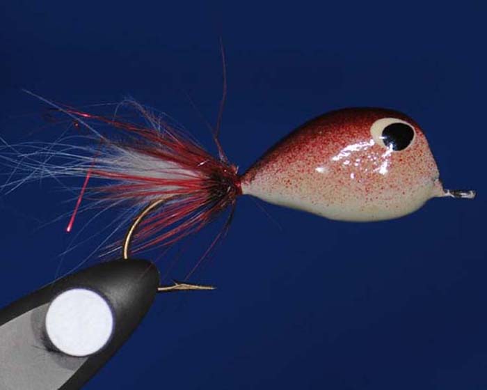 Bass Fly UK 3