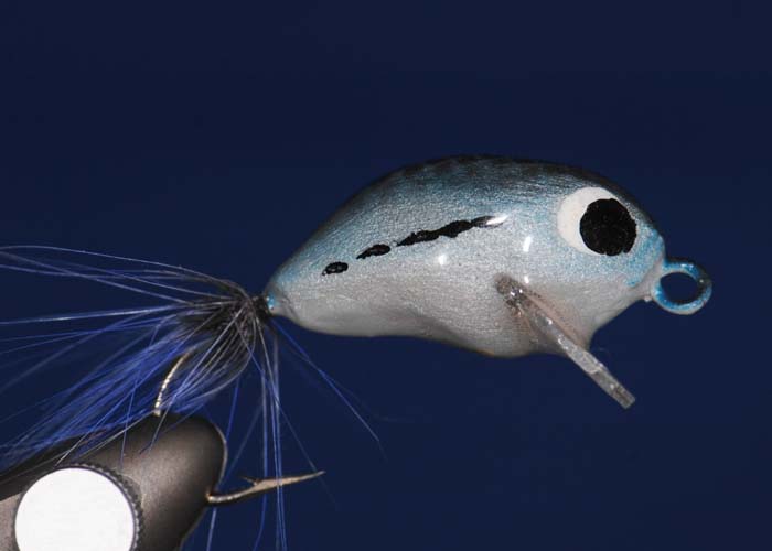 Bass Fly UK 4
