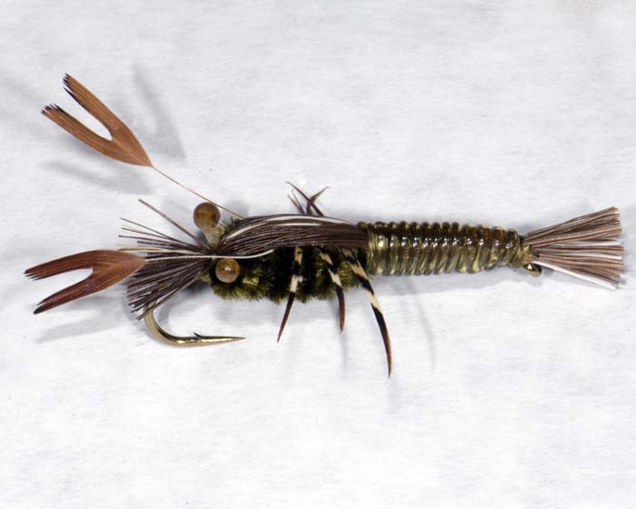 Crayfish Janet