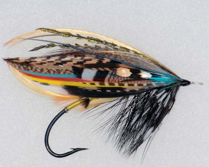 Salmon FLY LN 4
