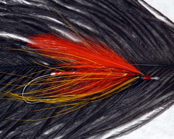 Steelhead fly UK 1