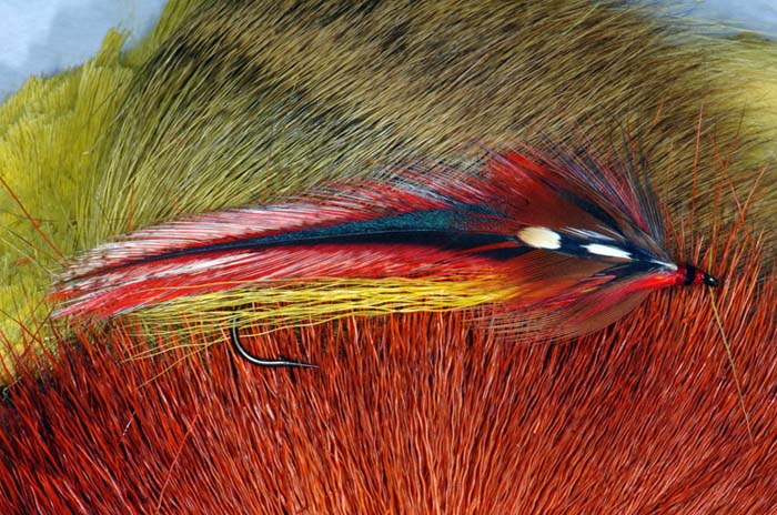 Trout FLy BS 3