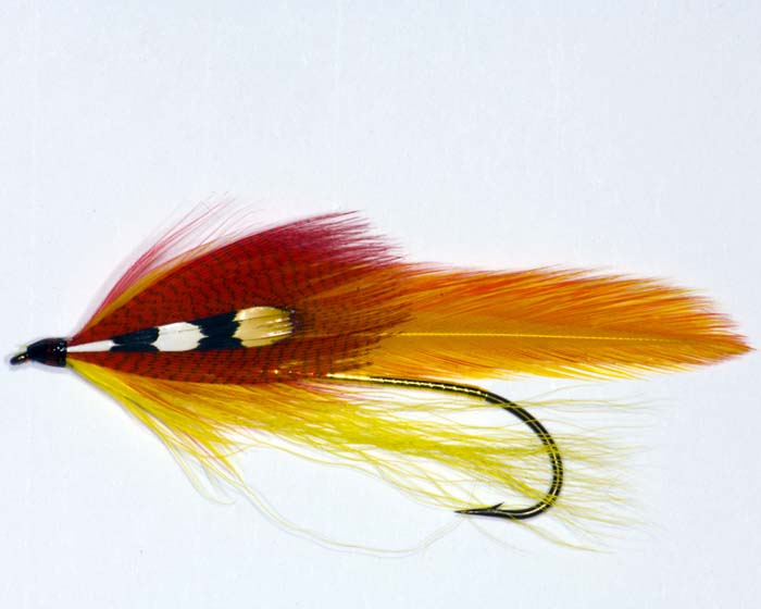 Trout Fly BS 2
