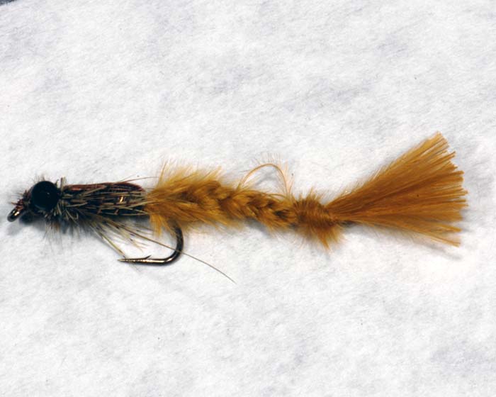 Trout Fly JS