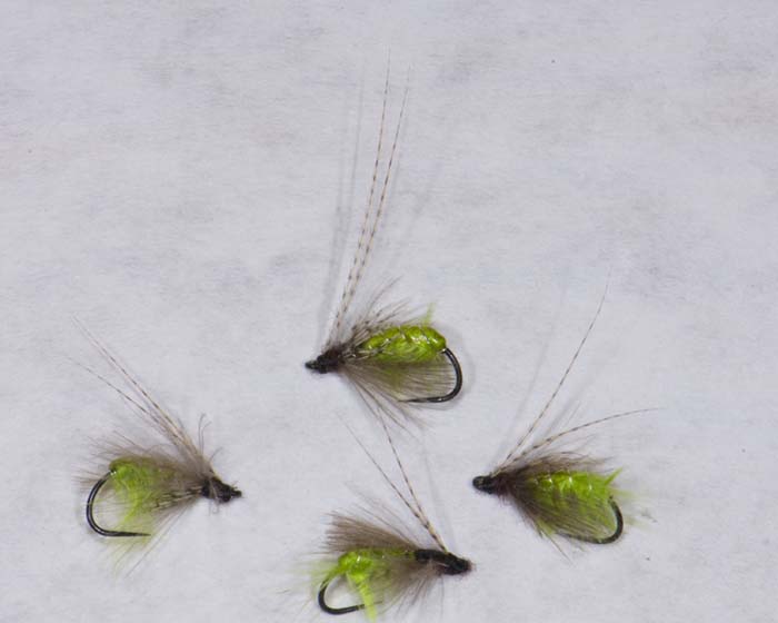 Trout Fly UK 1