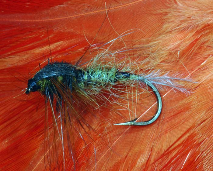 Trout Fly UK 12