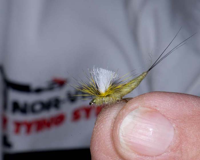 Trout Fly UK 19