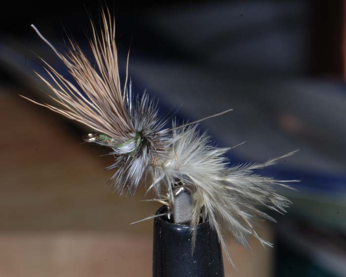 Trout Fly UK 2