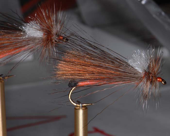 Trout Fly UK 3