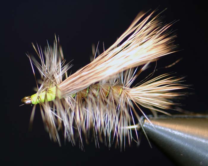Trout Fly UK 4