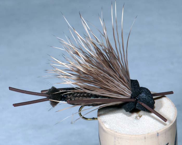 Trout Fly UK 5
