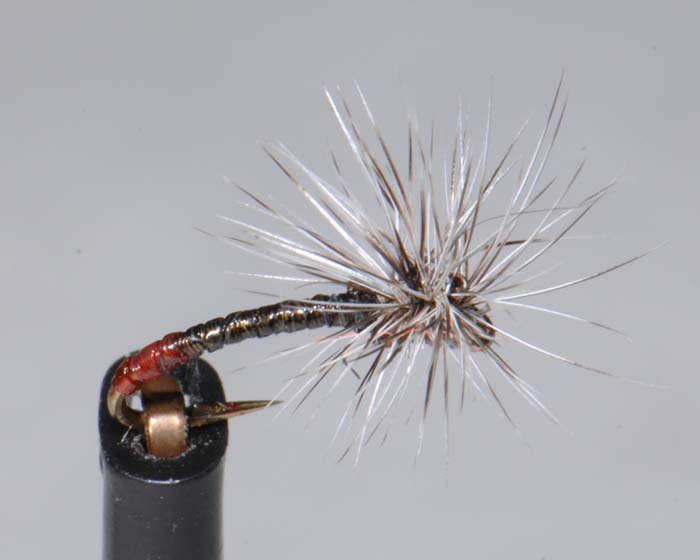 Trout Fly UK 6