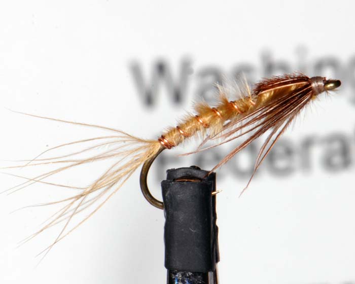 Trout Fly UK 8
