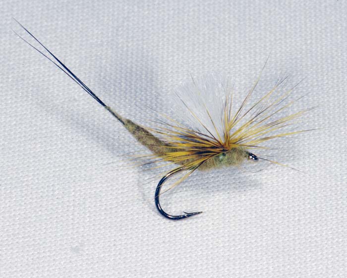 Trout fly UK 14