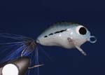 Bass Fly UK 4