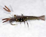 Crayfish Janet