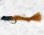 Trout Fly JS
