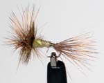 Trout Fly UK 13