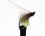 Trout Fly UK 17