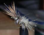 Trout Fly UK 2