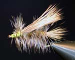 Trout Fly UK 4