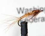 Trout Fly UK 8