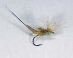 Trout fly UK 14